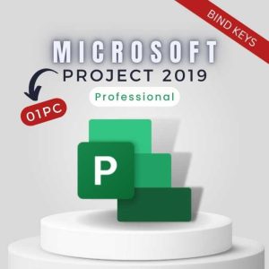 Project 2019 Professional 1PC [BIND]